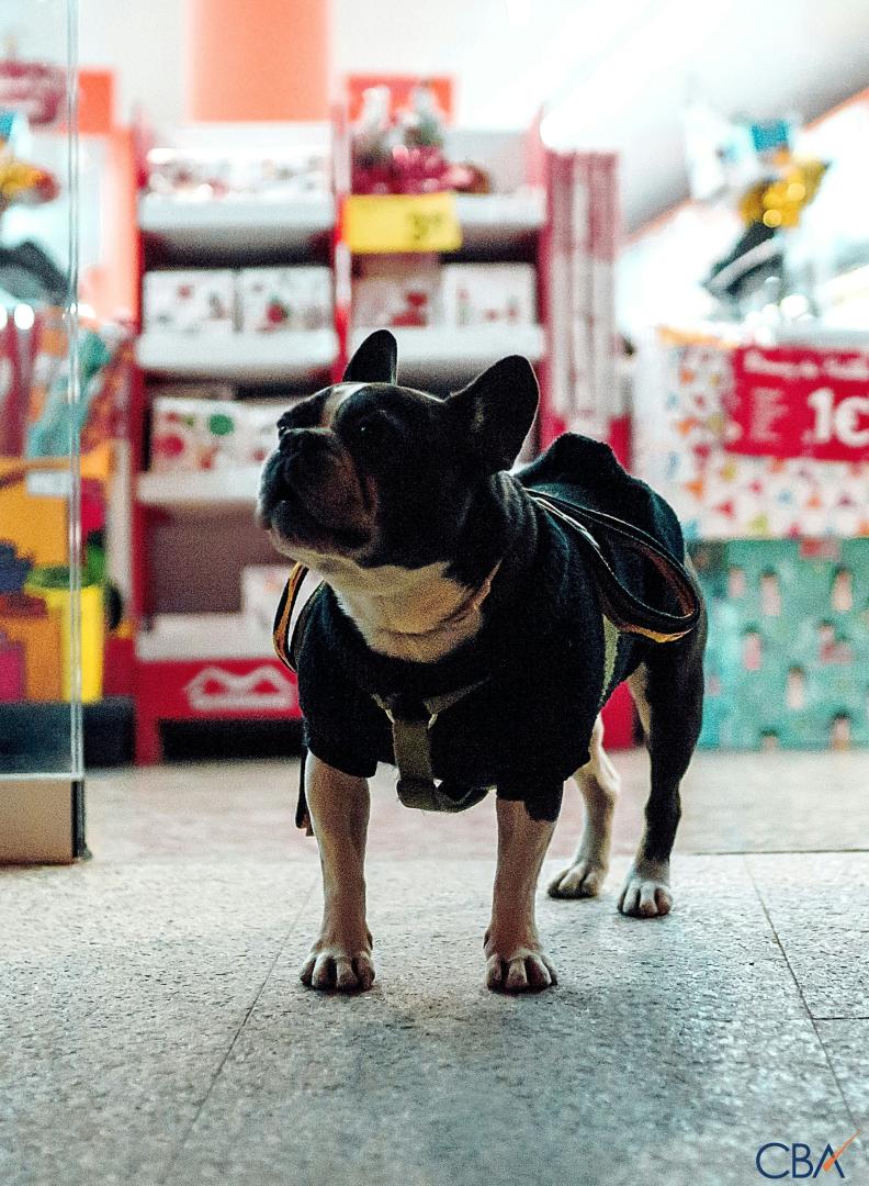 Pet Store - Image# 1